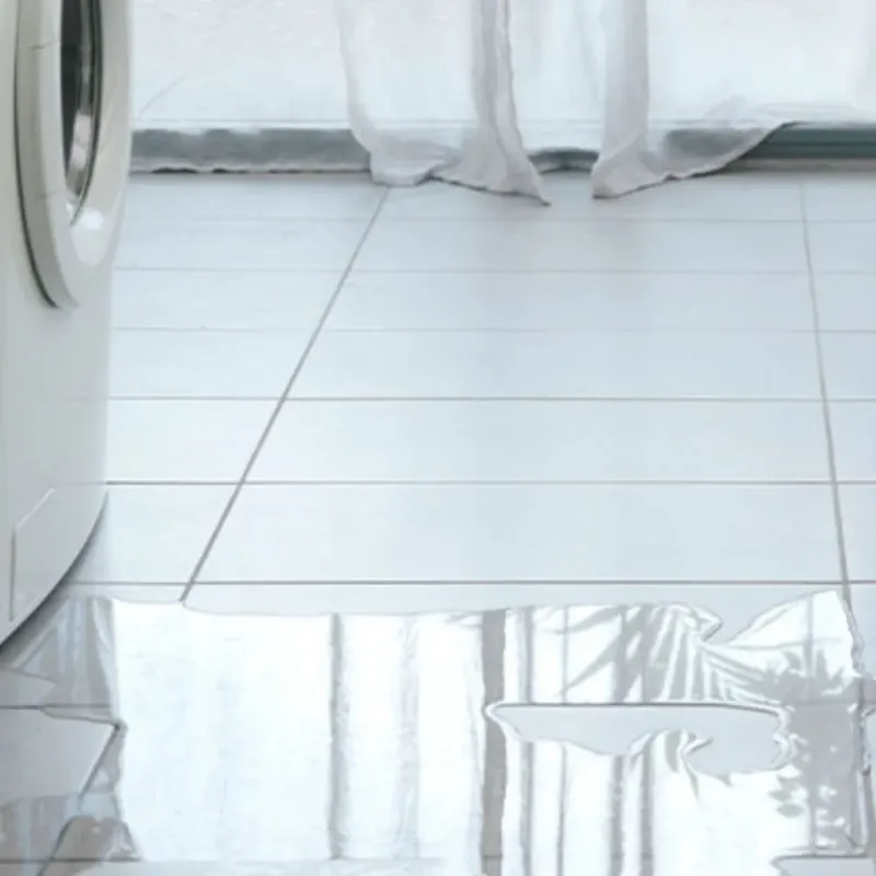 Appliance Leak Cleanup in Charlotte Harbor, FL